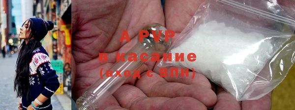 стафф Алексин