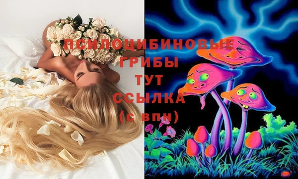 стафф Алексин