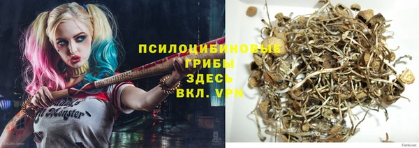 МДМА Алексеевка