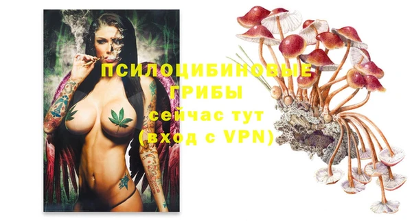 соль курить ск Приозерск