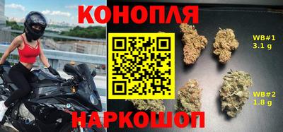 мдпв Тула