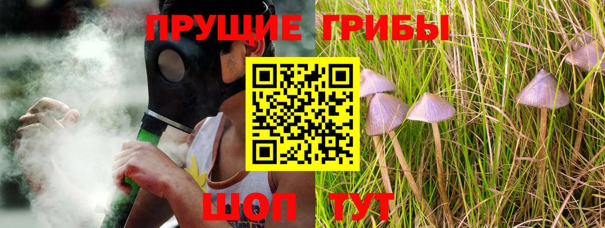 Галлюциногенные грибы Cubensis  Вход с VPN  Осинники 